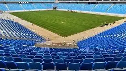 张彬彬轻松辟谣：单身过光棍节，并非隐婚生娃